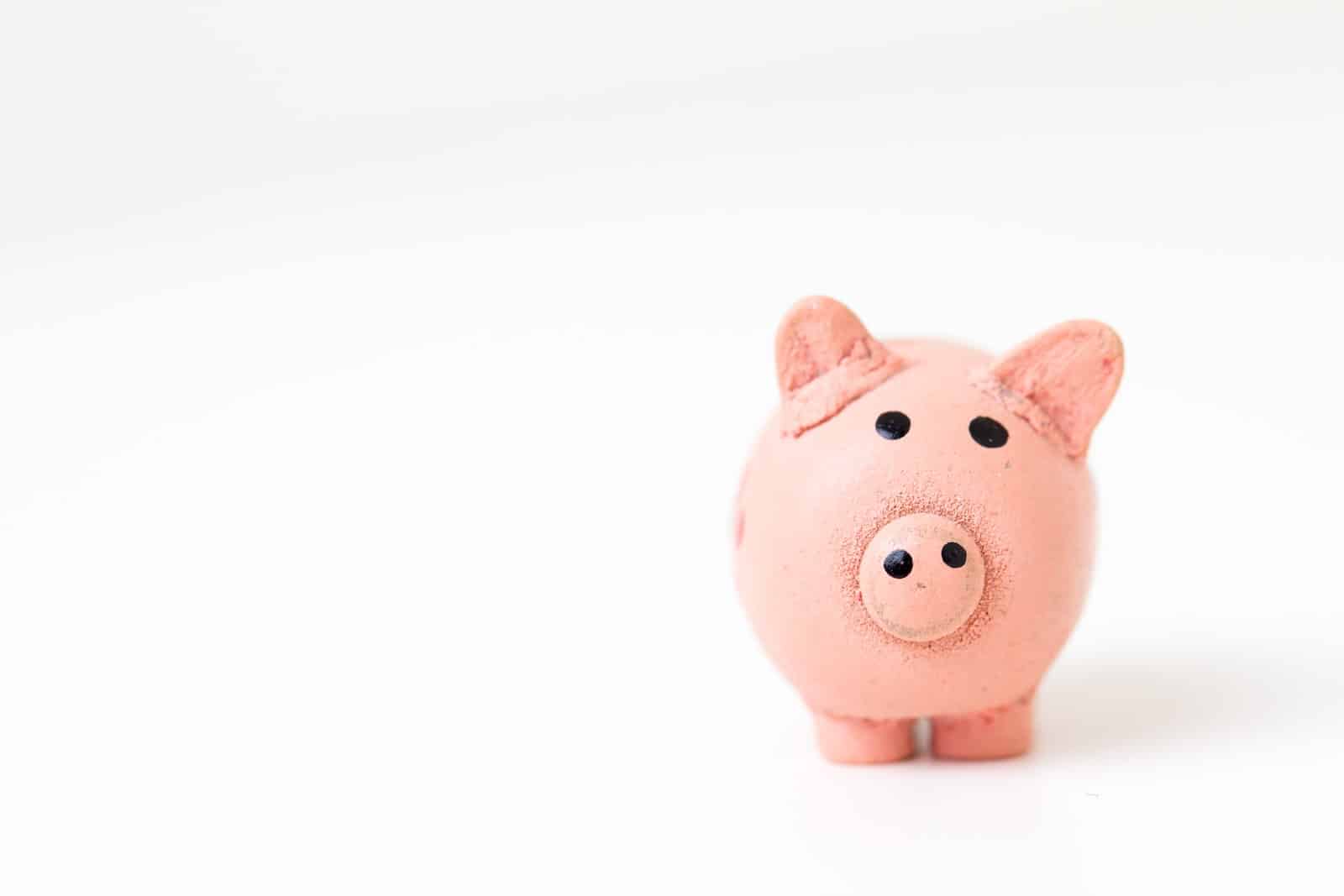 pink pig figurine on white surface